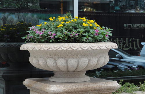 花盆06
